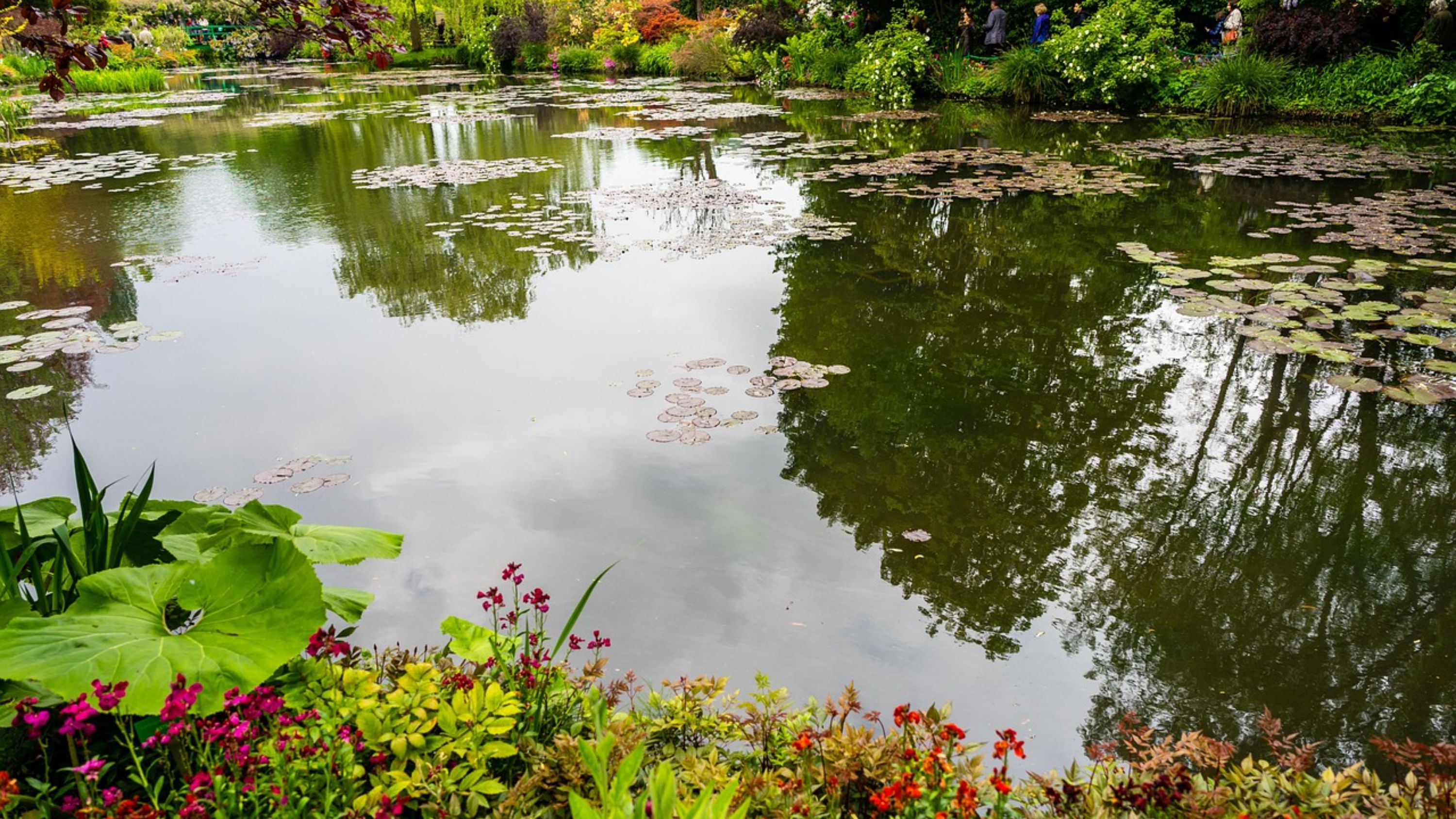 Surround yourself with the source of Monet's inspiration and feel the tranquility of your soul