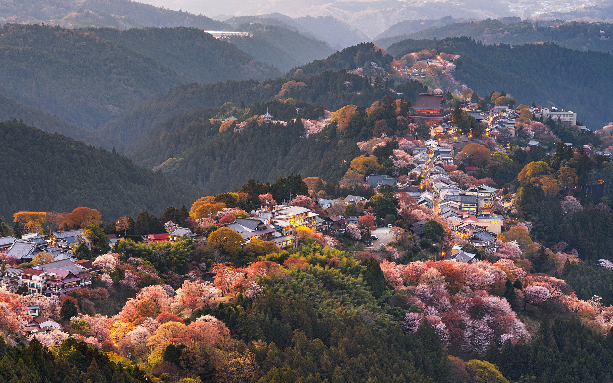 Nara Yoshinoyama Cherry Blossom Viewing + Tsubosaka Temple + Nara Park Day Trip丨Chinese Service + Round Trip from Osaka on the Same Day + Limited Cherry Blossom Season