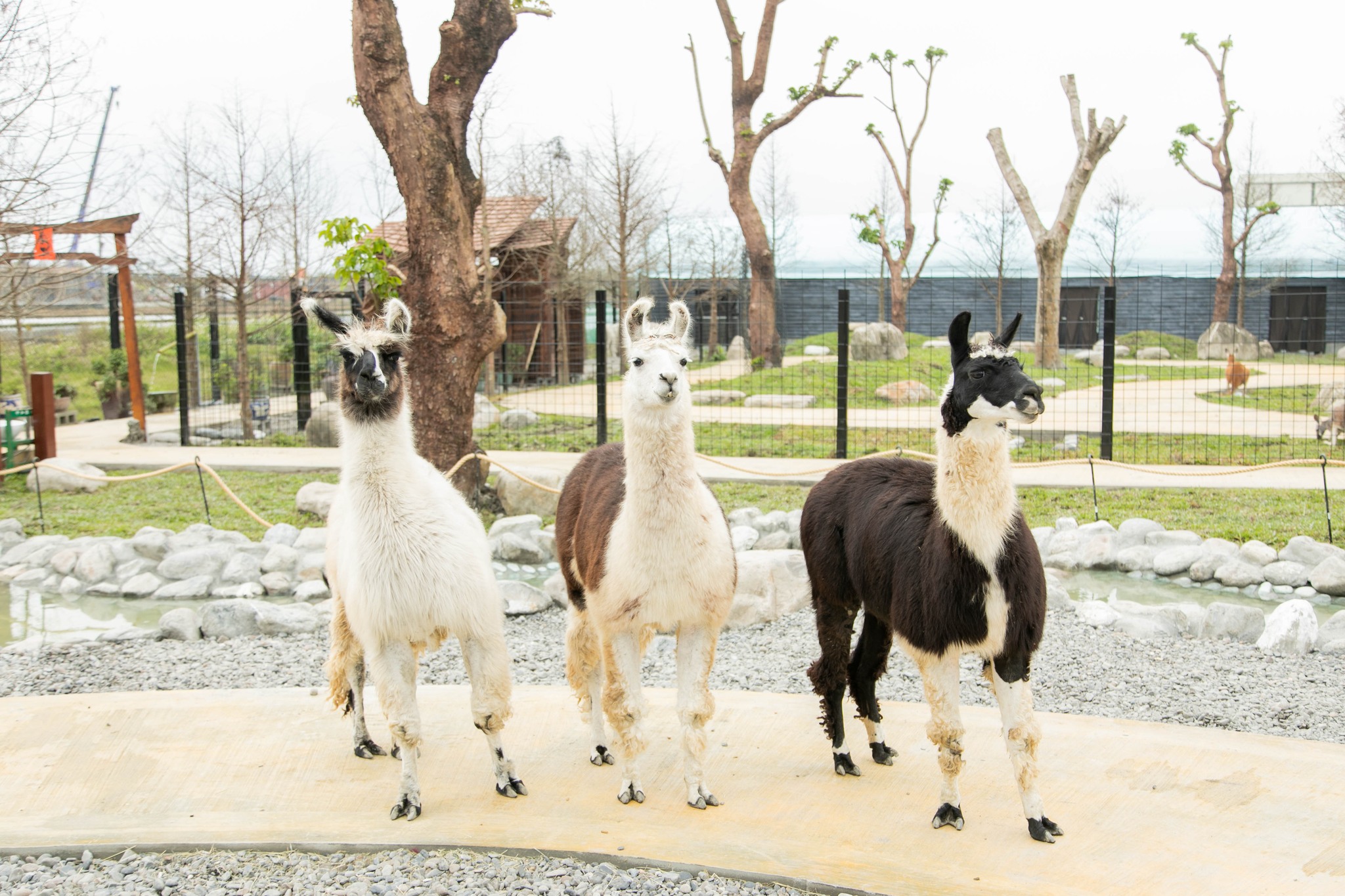 Yilan Lanyang Animal and Plant Kingdom Tickets