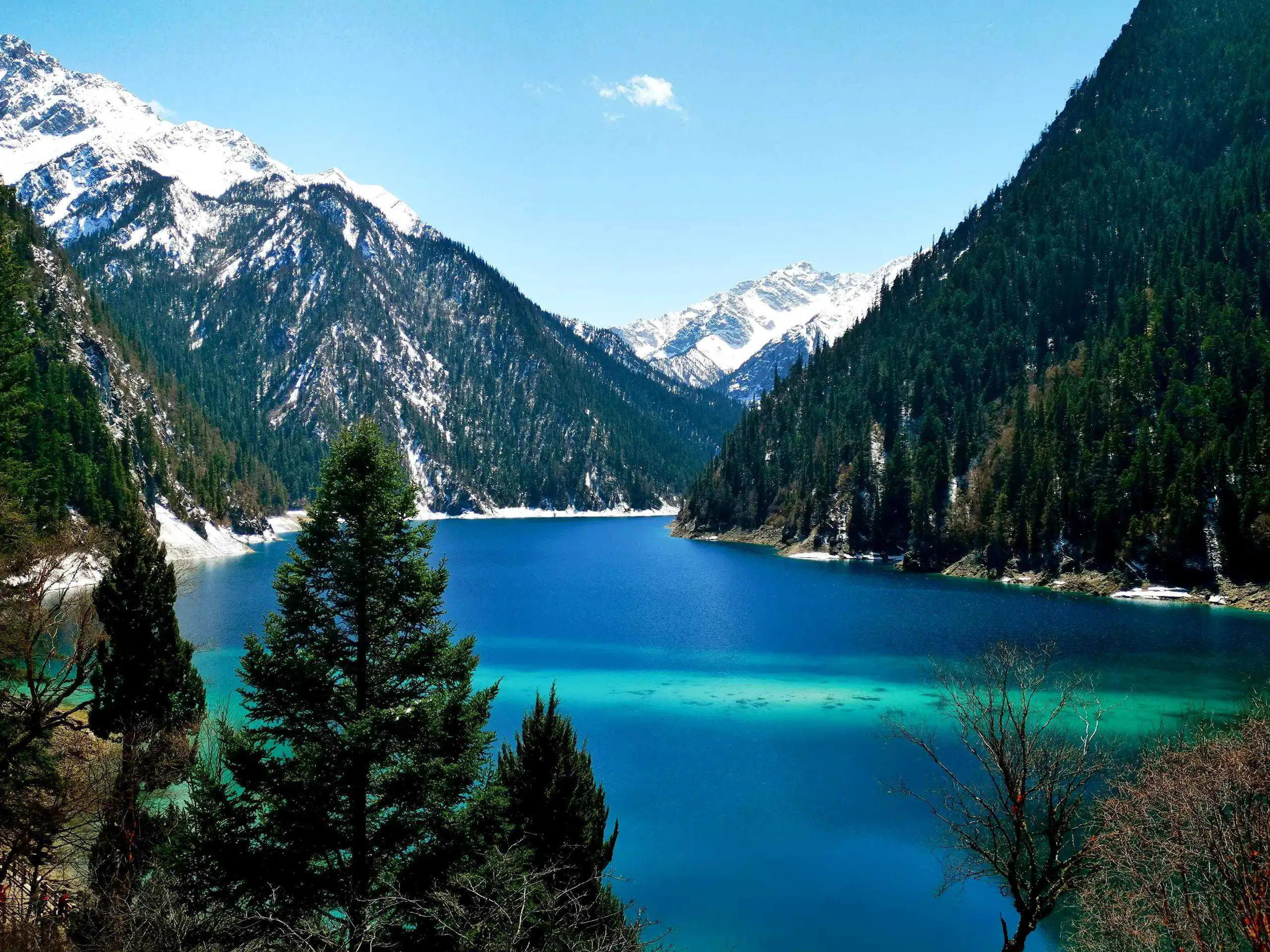 Chengdu Jiuzhaigou High-Speed Rail Round Trip One-Day Tour (Optional English Guide)