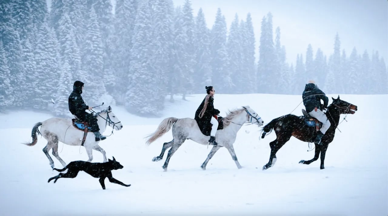 庫爾德寧雪地騎馬,雪地森林穿越 庫爾德寧雪地騎馬,雪地森林穿越