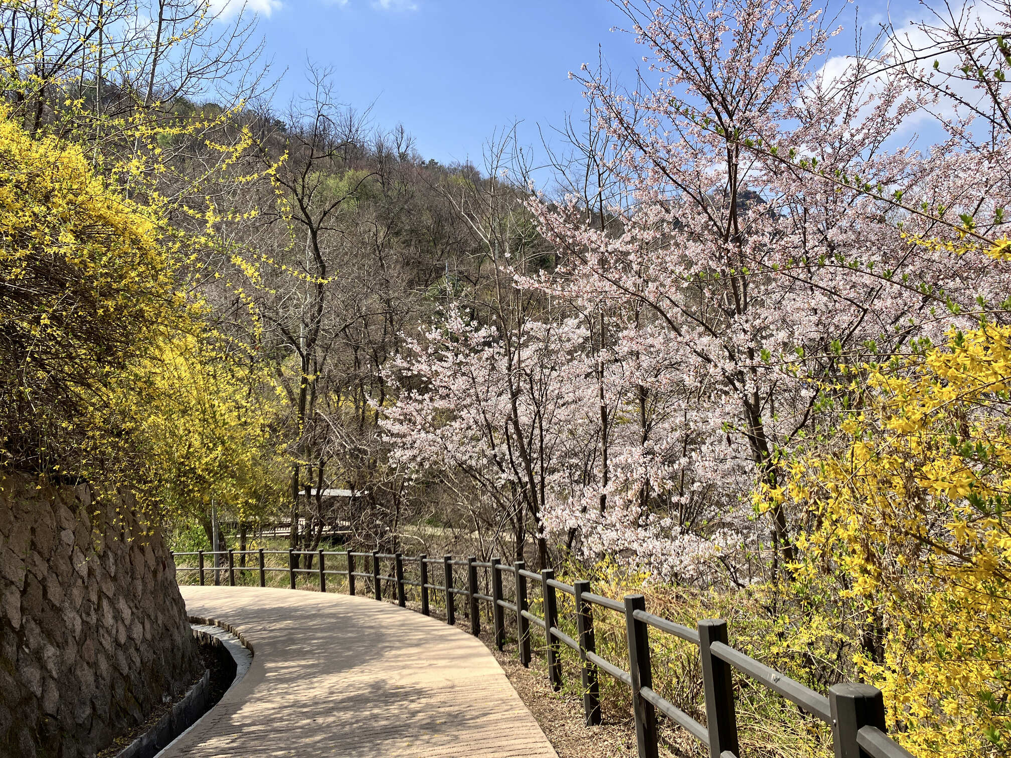 韓服 + 景福宮 + 東仁市場導覽步行遊
