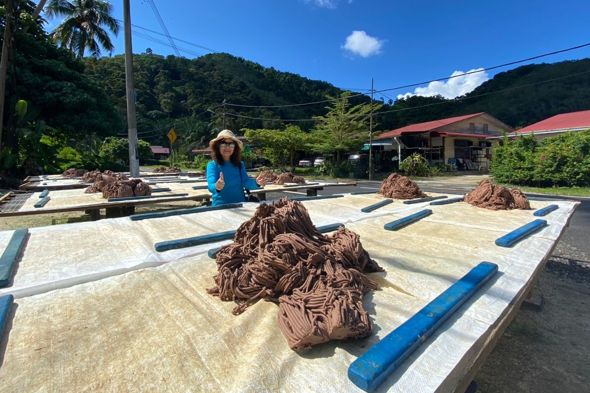 檳城浮羅山背半日遊