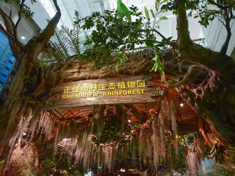 廣州正佳雨林生態植物園門票