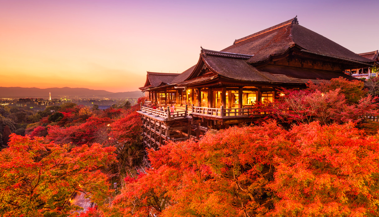 Kyoto Kinkakuji Temple, Kiyomizu Temple, Matcha Experience, Heian Shrine, and Rabbit Shrine Day Tour