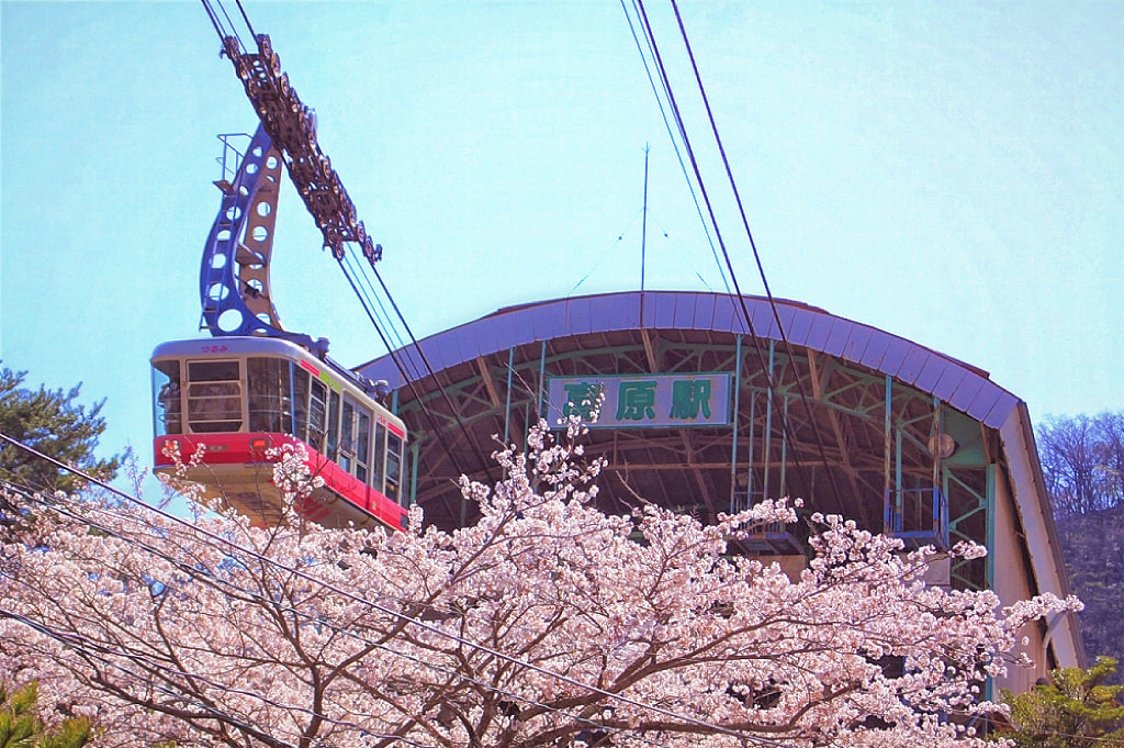 太宰府 & 湯布院 & 別府空中纜車 & 灶地獄一日遊 (福岡出發)