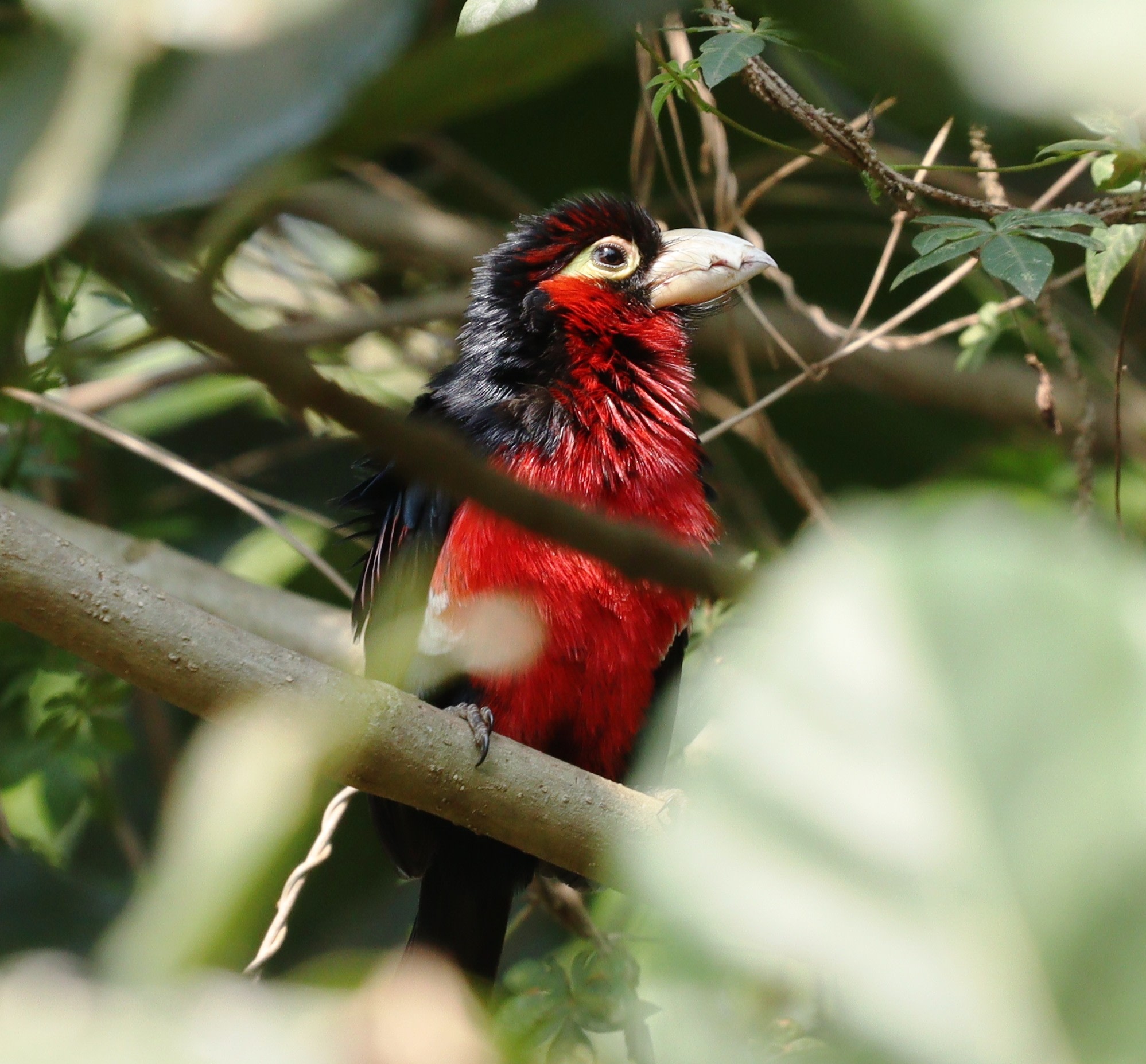 Bugesera & Nyandungu Urban Wetland Eco-tourism Park One-day Nature Tour