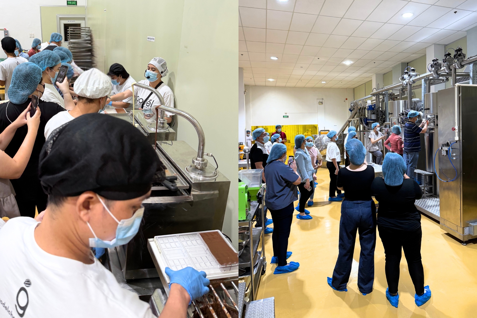 Witness the process of making chocolates during the factory tour