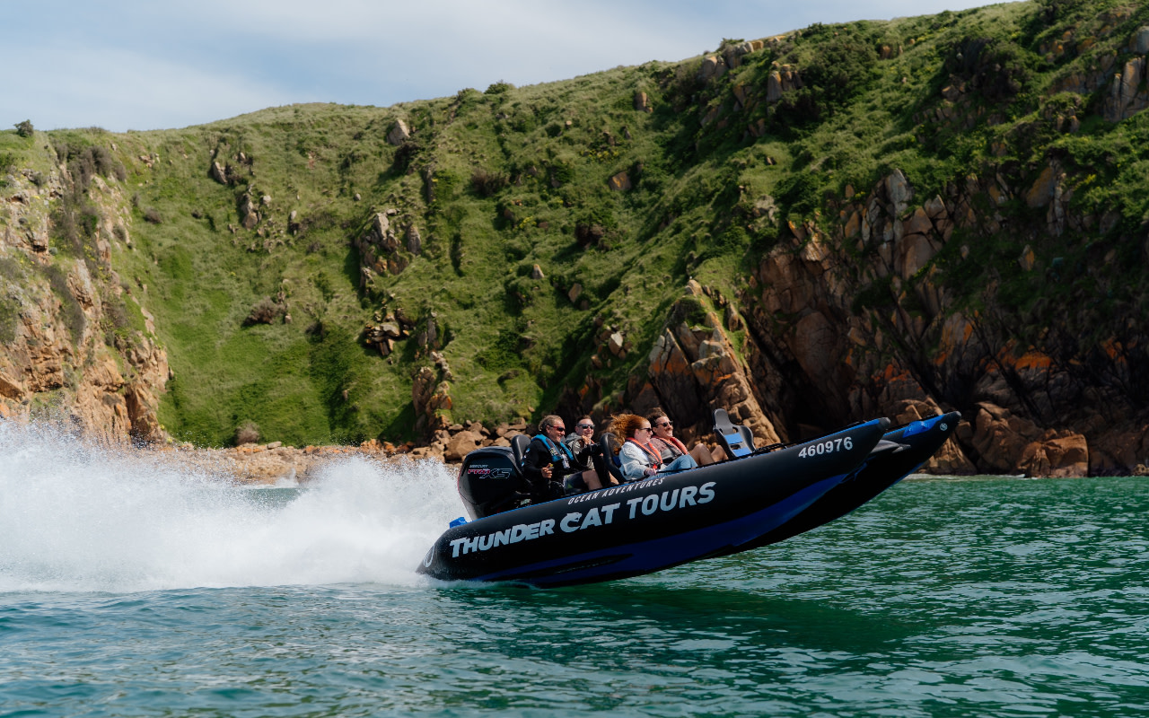 Thundercat Race Boat Experience in Bass Coast