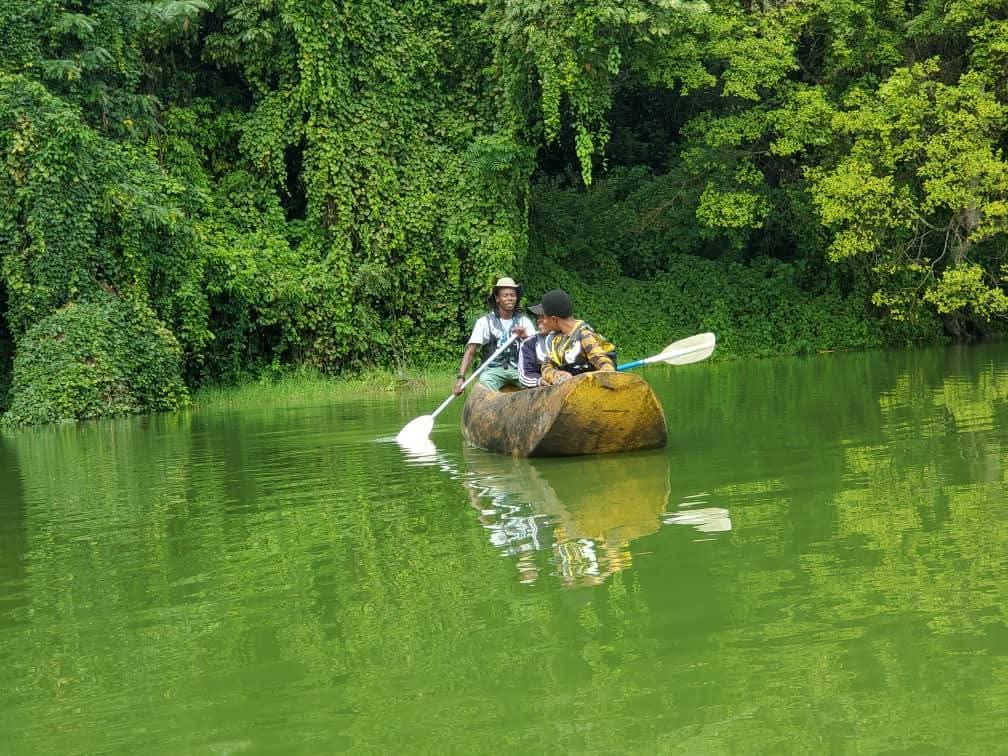 Canoes across the lake to find rare birds