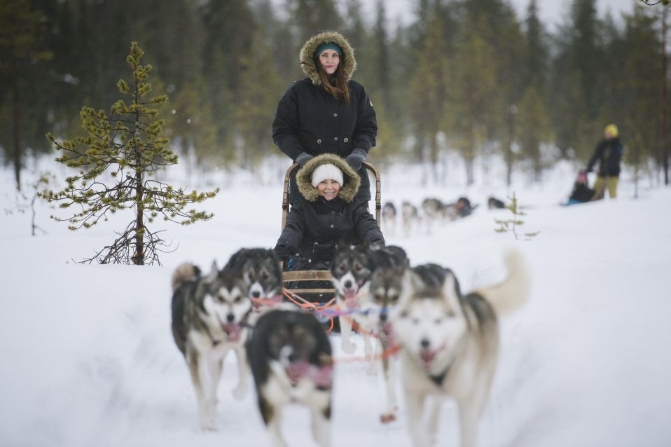 Snowmobile Safari, Reindeer & Husky Sleigh Ride Tour from Rovaniemi