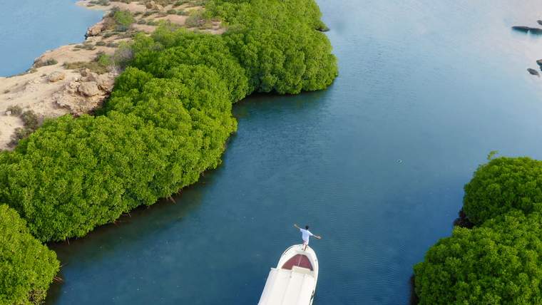 Farasan Island Full-Day Marine Cruise