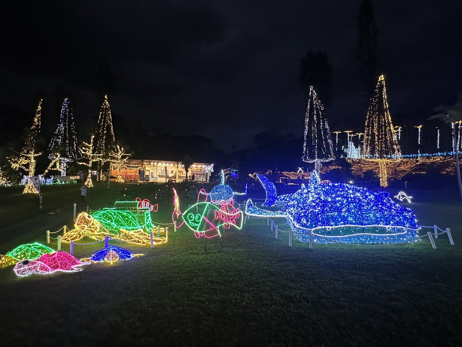以季節限定「南國光之樂園」聞名。數十萬顆燈飾照亮棕櫚樹與花園步道,呈現出如童話般的浪漫夜色。 以季節限定「南國光之樂園」聞名。數十萬顆燈飾照亮棕櫚樹與花園步道,呈現出如童話般的浪漫夜色。