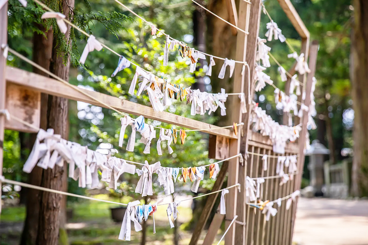 [One-day tour in Kamikochi from Nagoya] Encounter the scenery of Japan's "Jiuzhaigou", step on the Kappa Bridge, and overlook the mountains and the sacred pond