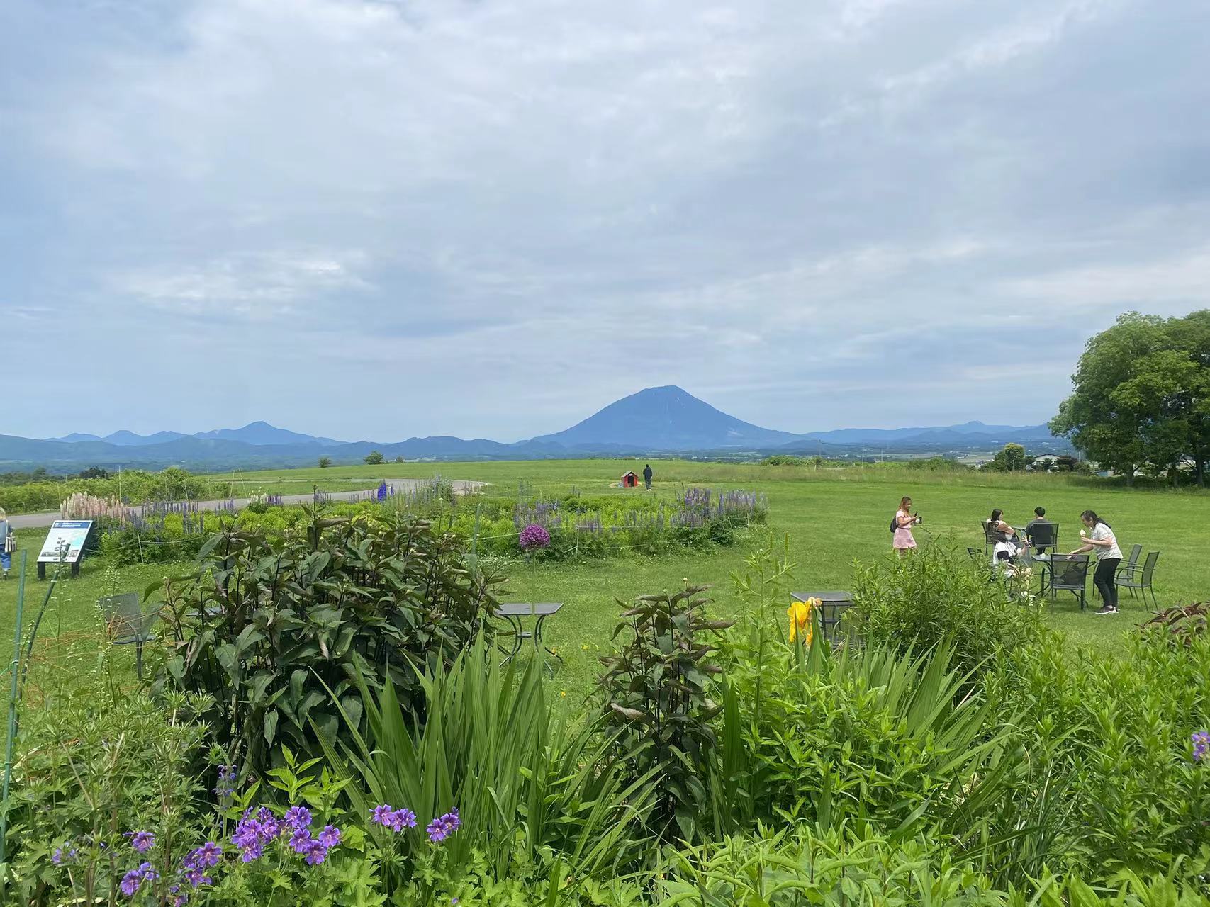 【北海道小富士山登別一日遊】小富士羊蹄山&洞爺湖展望臺&Lake Hill Farm&熊牧場&登別地獄谷一日遊（贈送冰淇淋）