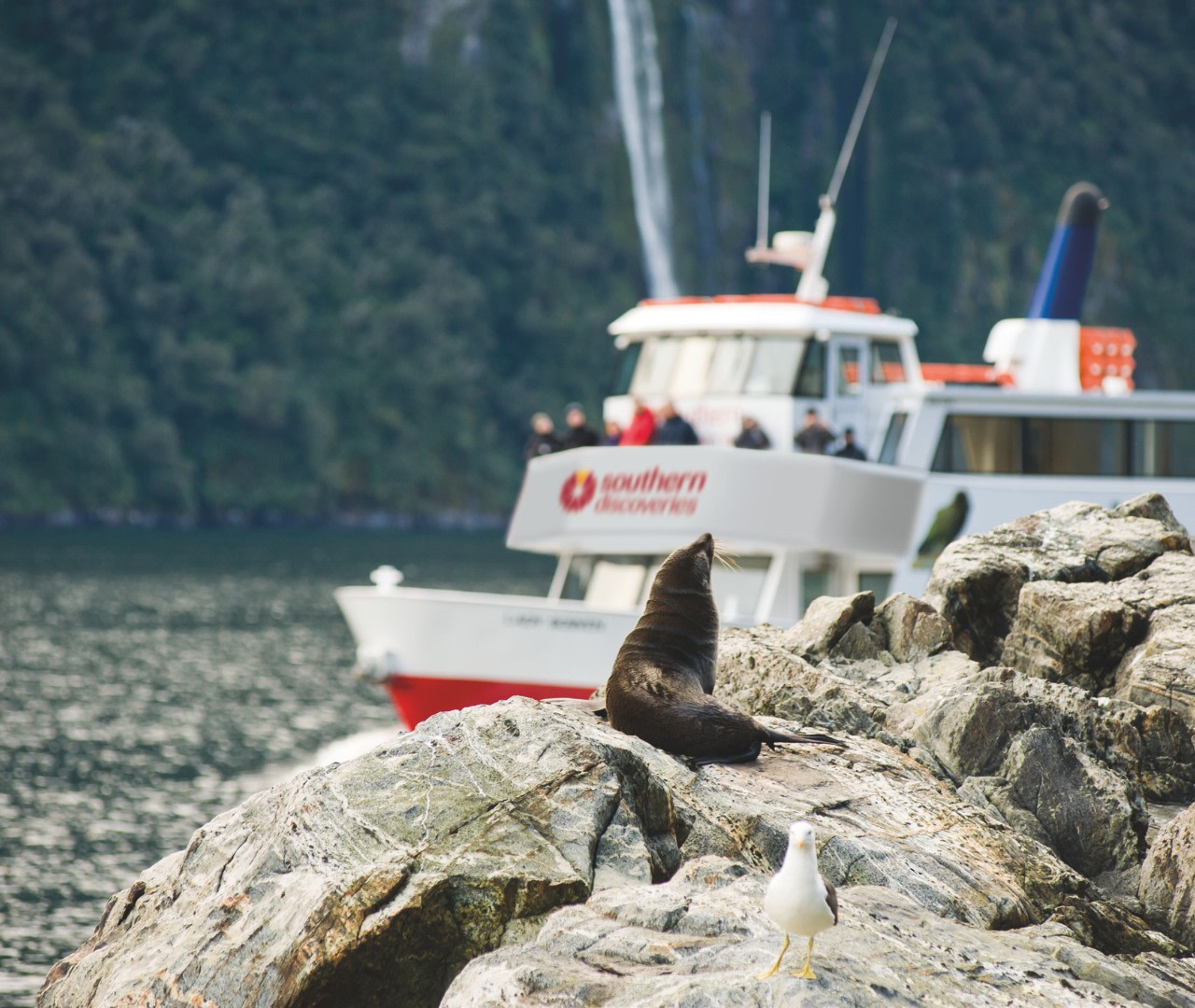 Milford Sound Extended Cruise by Southern Discoveries