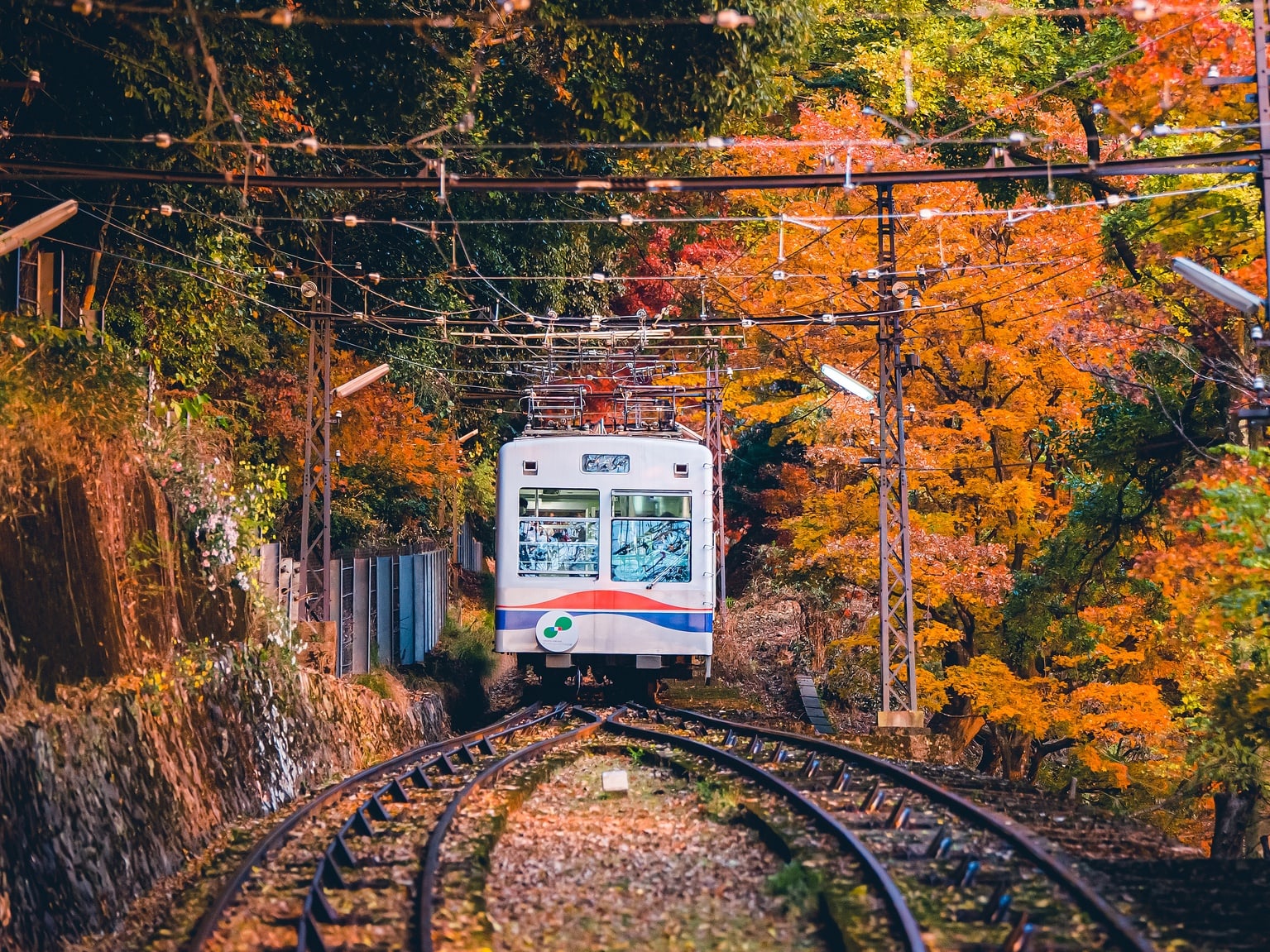 日本睿山電車 & 纜車往返車票