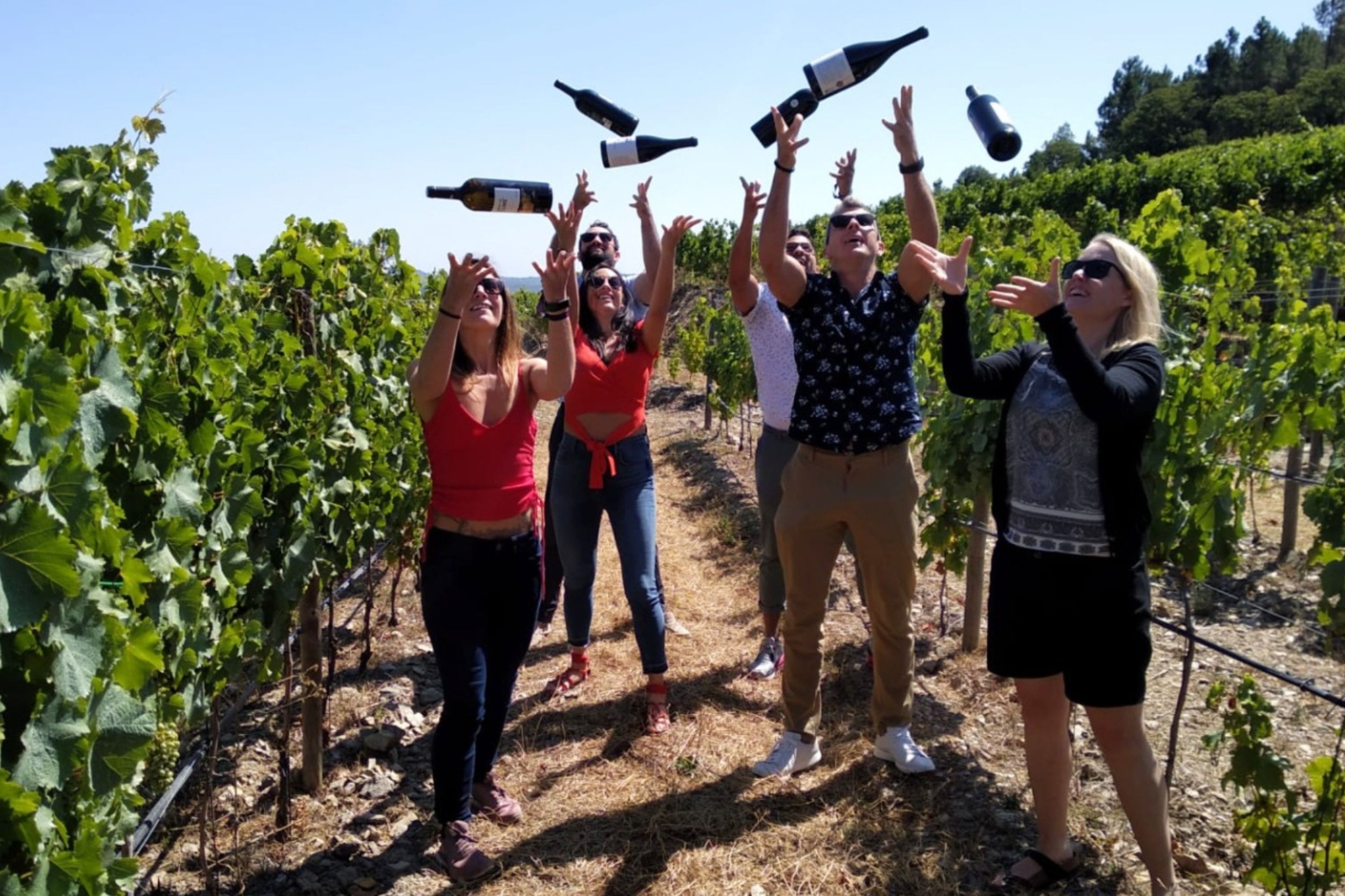 Douro Valley Small Group Day Tour with Lunch from Porto