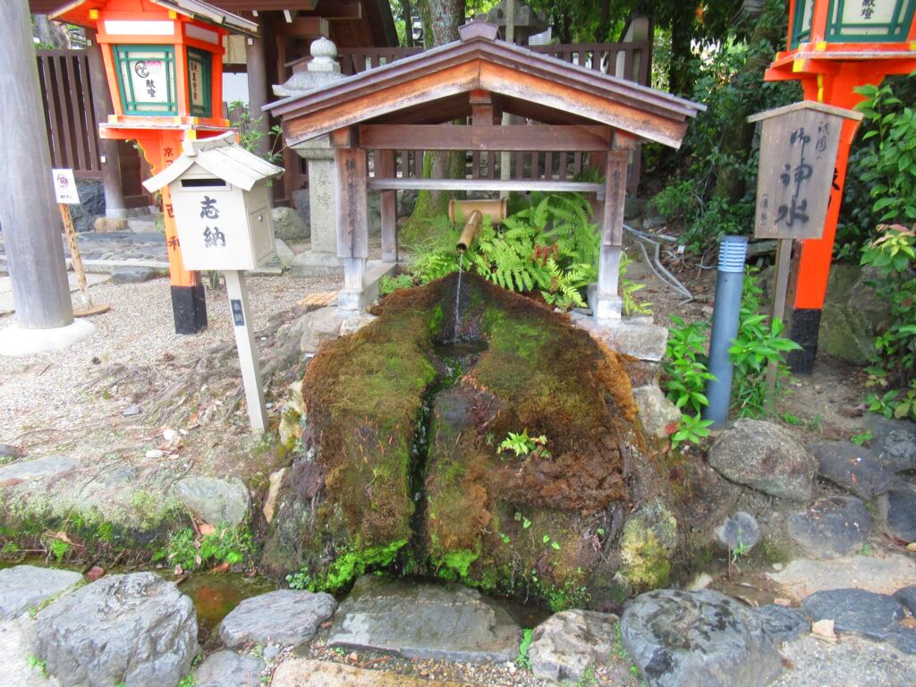 在京都尋覓 inner peace：寺廟瑜伽和聖泉體驗