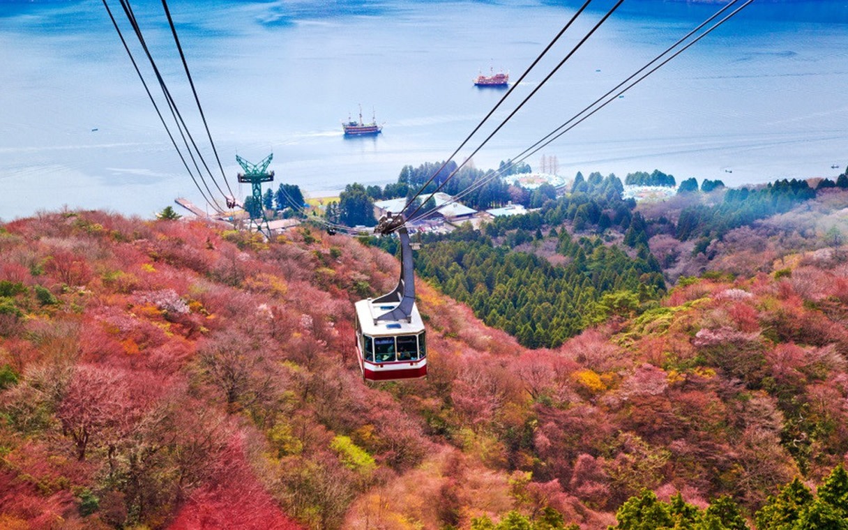 Hakone Shrine & Owakudani One-day Nature Tour