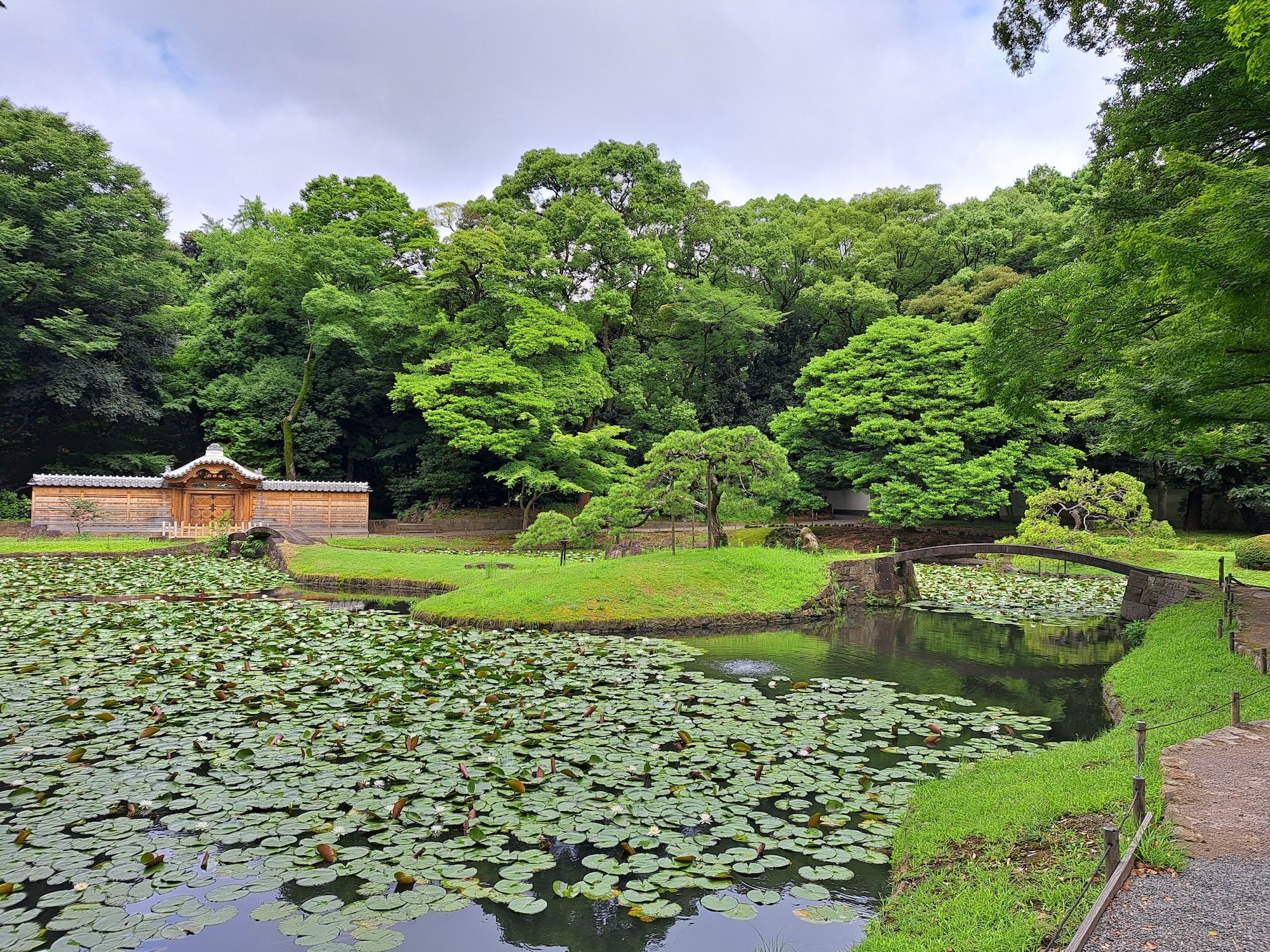 從淺草出發：探索東京古城、寺廟、庭園與流行文化