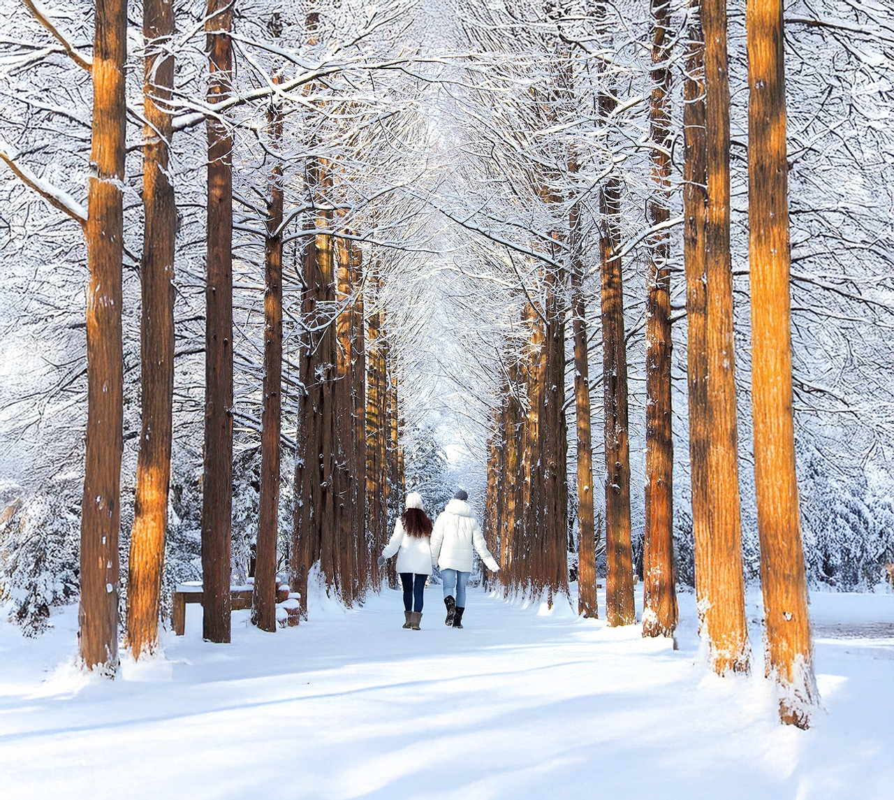 冬天的南怡島,就像走進了一個雪花球!❄️ 冬天的南怡島,就像走進了一個雪花球!❄️