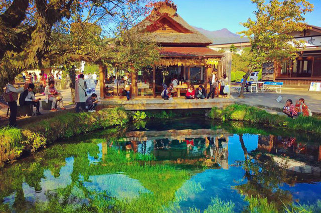 新倉山公園 & 富士山五合目 & 河口湖抹茶體驗 & 忍野八海一日遊