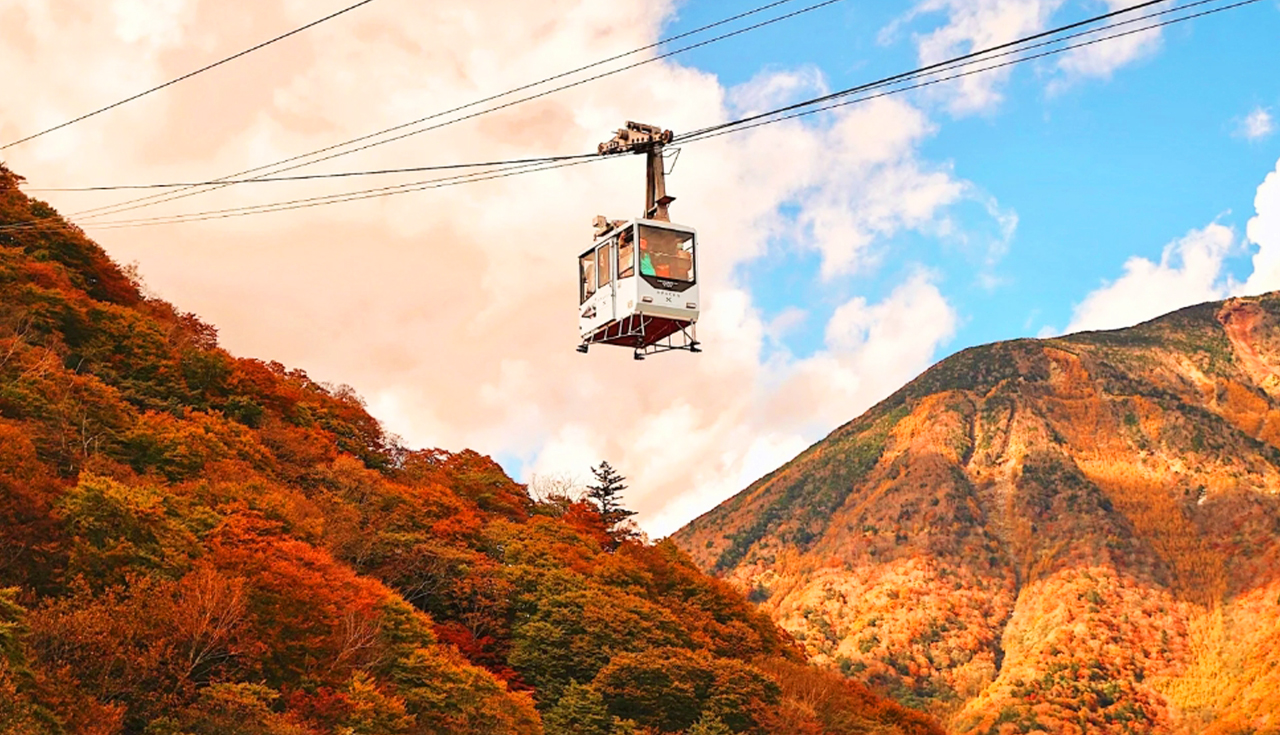 東照宮&伊呂波山道&明智平空中纜車&展望臺&中禪寺湖&華嚴瀑布