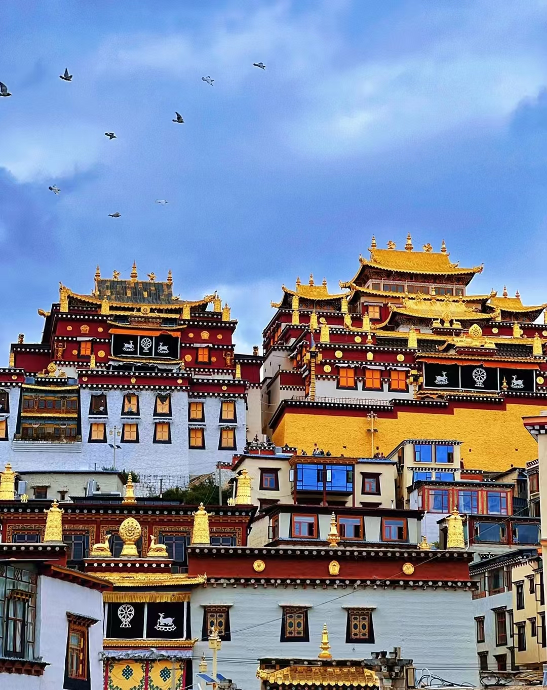 [Colorful Yunnan]: Kunming + Dali + Shaxi + Lijiang + Shangri-La 8 days 7 nights private tour