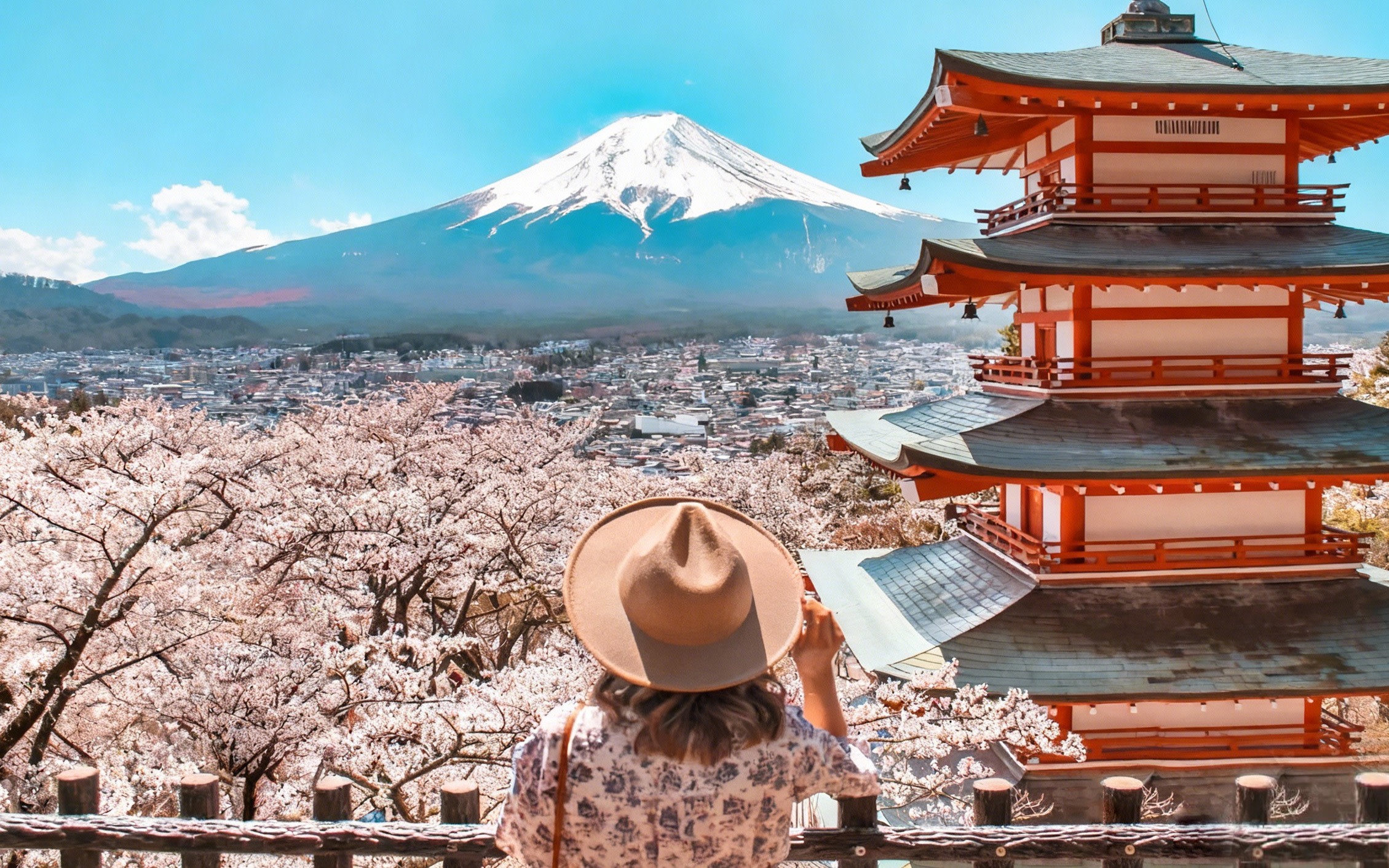 Mount Fuji Popular Instagrammable spots tour with Lunch Option