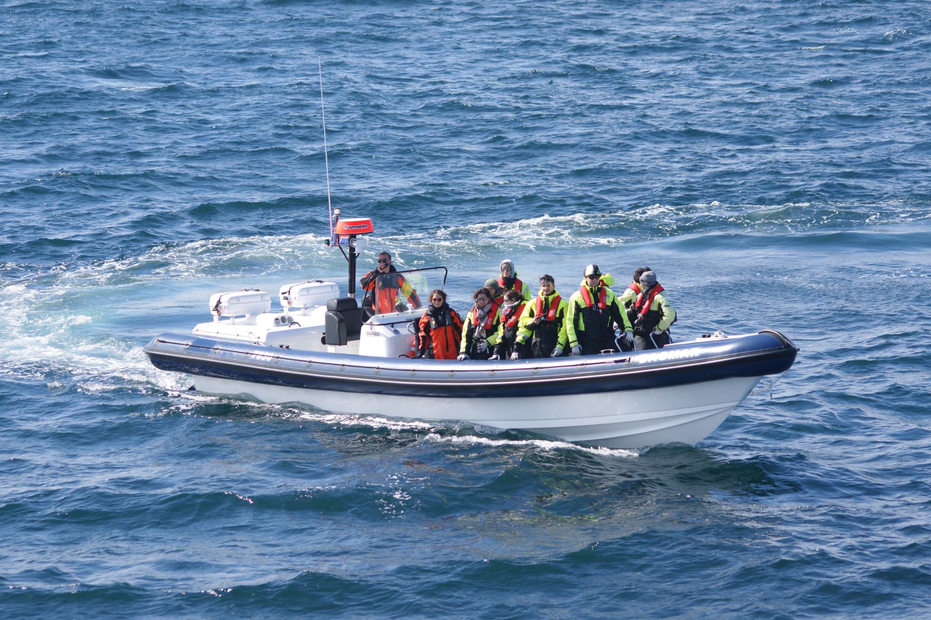 Puffin Watching Express Tour by RIB Speedboat in Reykjavik