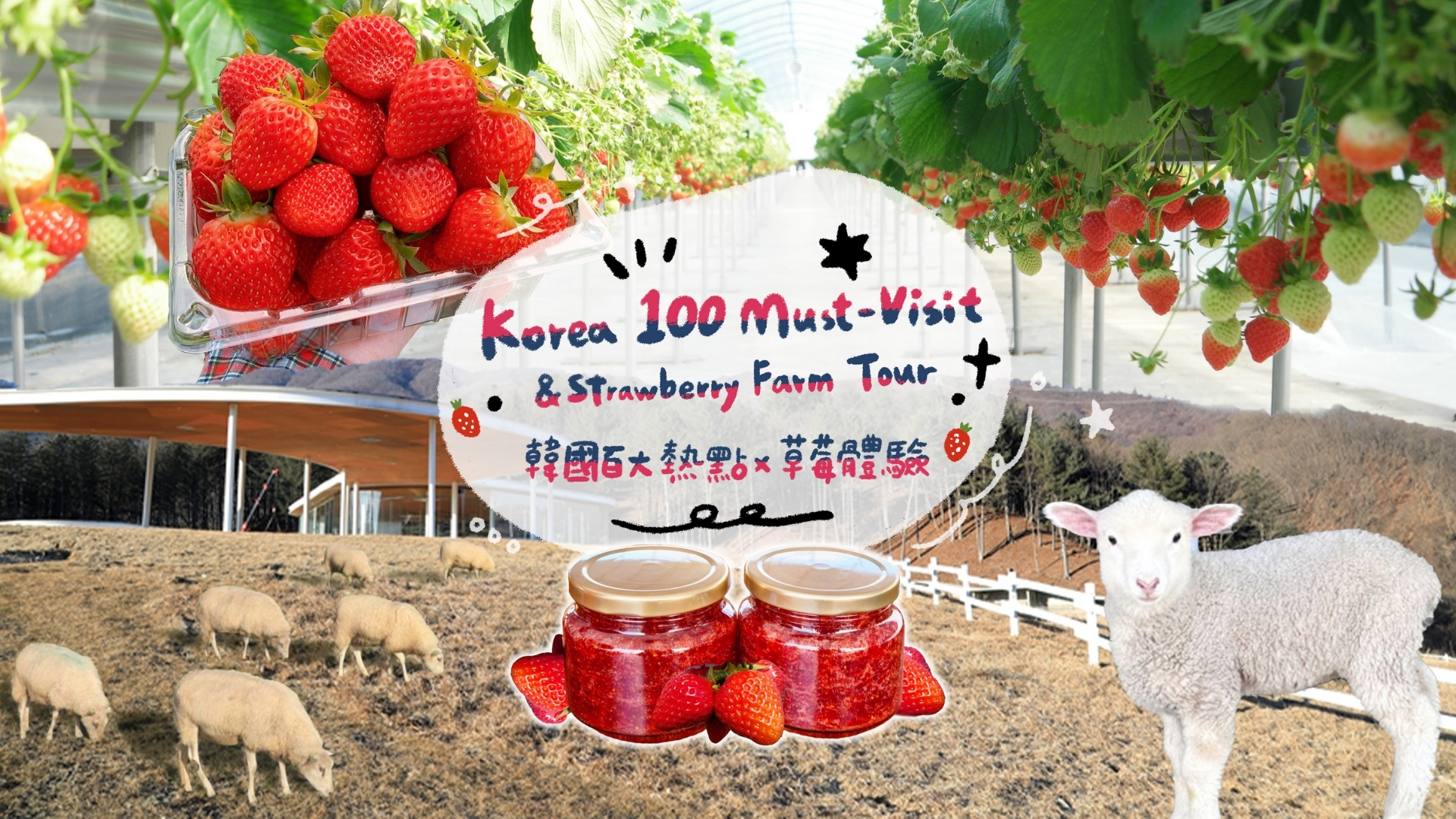 Nami Island & Strawberry Picking and Jam Making Experience & Garden of Morning Calm or Gangchon Rail Bike Day Tour