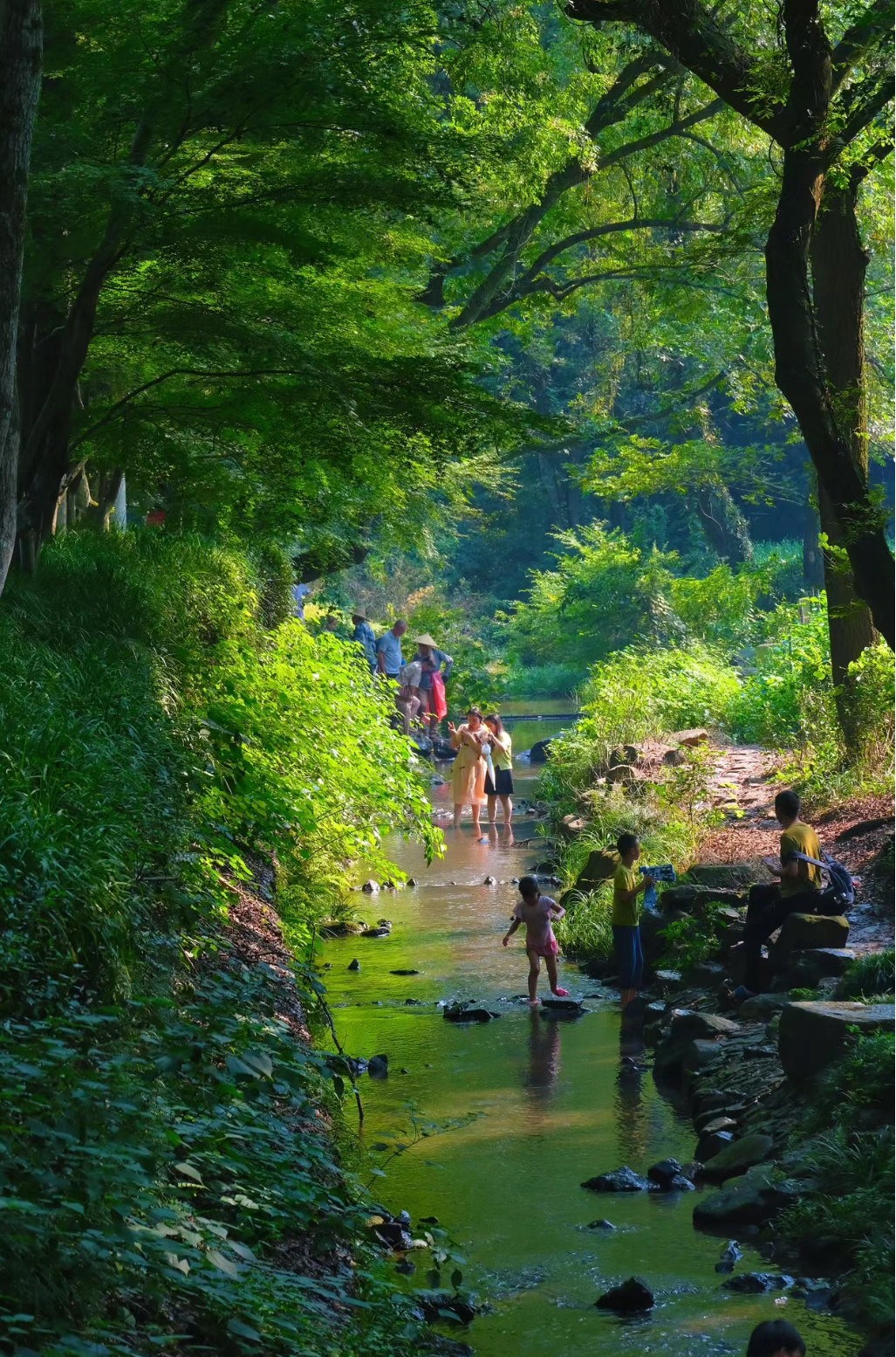 杭州隱逸茶生活一日遊：西溪溼地+龍井村茶文化+九溪煙樹
