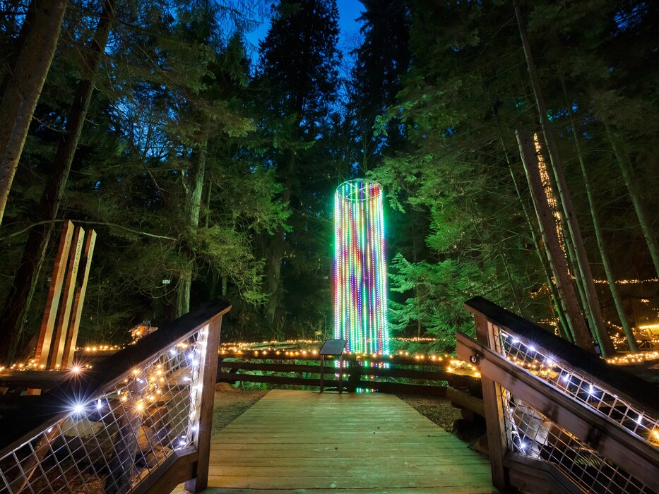 閃爍的樹木，涼爽的空氣，以及無處不在的聖誕魔力