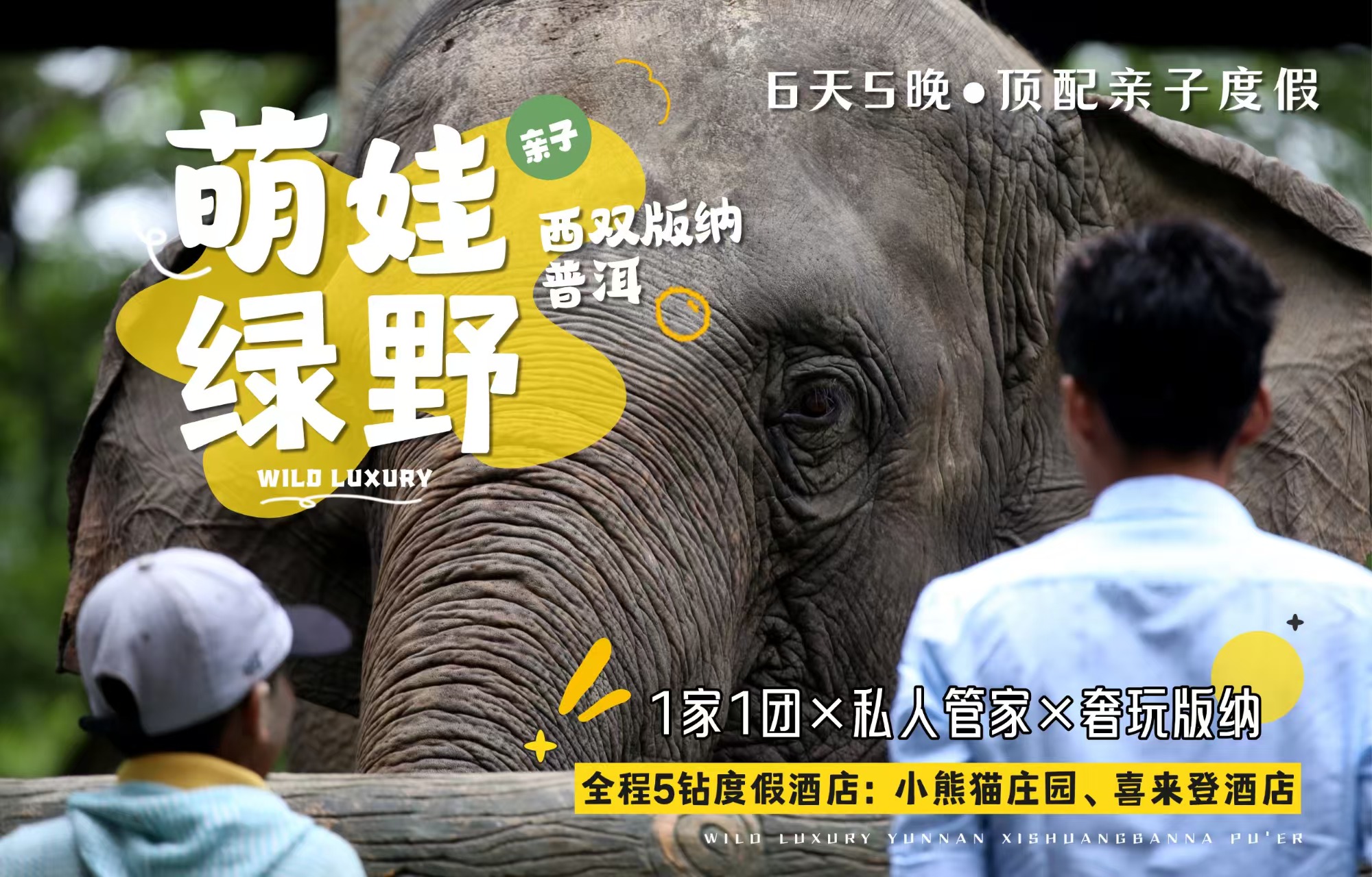 西双版纳-【私享定制团】云南西双版纳+普洱萌娃绿野6天5晚（全程5钻奢选&亲子酒店+野象谷雨林牧象+小熊猫庄园+傣族村寨 +雨林徒步+中科植物园）*等待确认