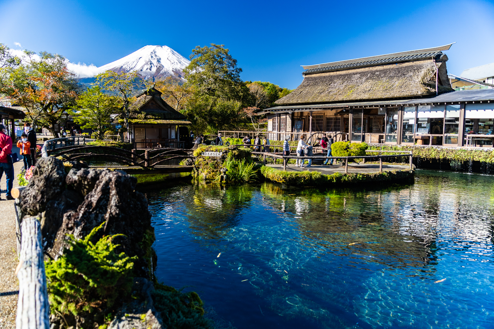 箱根 & 富士山五合目巴士一日遊（東京出發）