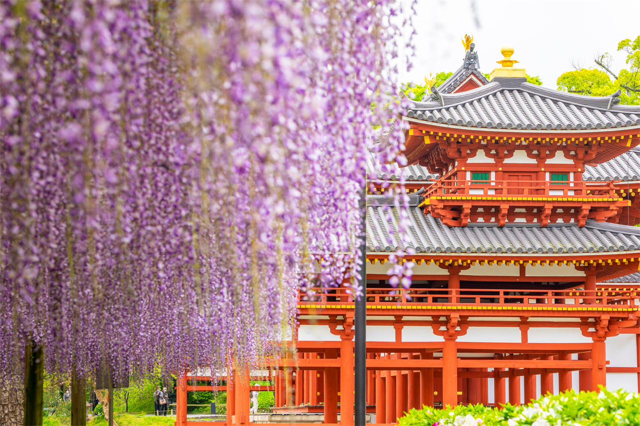 [Kyoto and Uji Ancient Capitals] Kiyomizu Temple & Ninnenzaka & Fushimi Inari Taisha Thousand Torii Gates & Uji Byodoin Matcha Food Tour (Depart from Osaka/Kyoto)