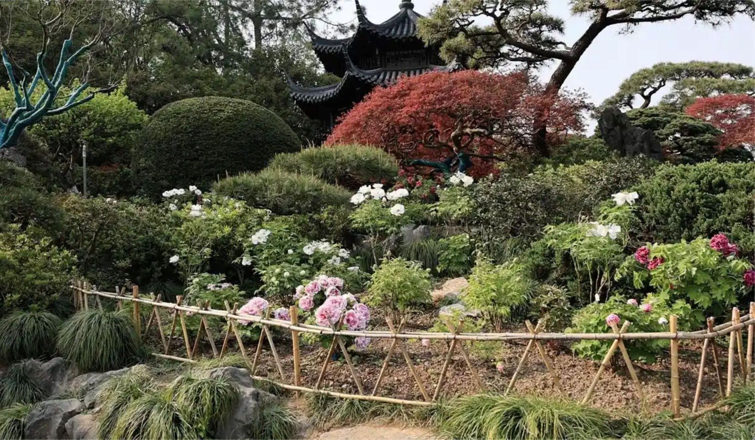 杭州3日漫遊(登靈隱寺飛來峰+賞西湖美景+觀雷鋒塔憶《白蛇傳》+逛清河坊南宋文化街+品乾隆御茶宴+江南風情+湖光山色+特色地方美食)