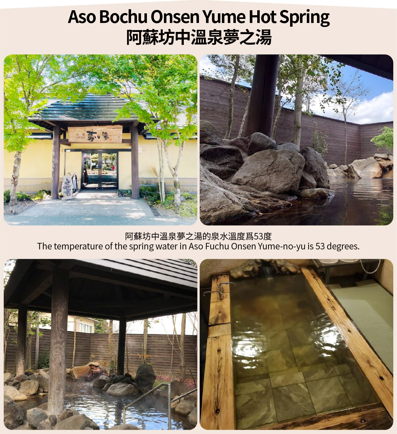 熊本城&阿蘇火山&草千里&阿蘇男孩觀光列車一日遊（熊本/福岡出發）