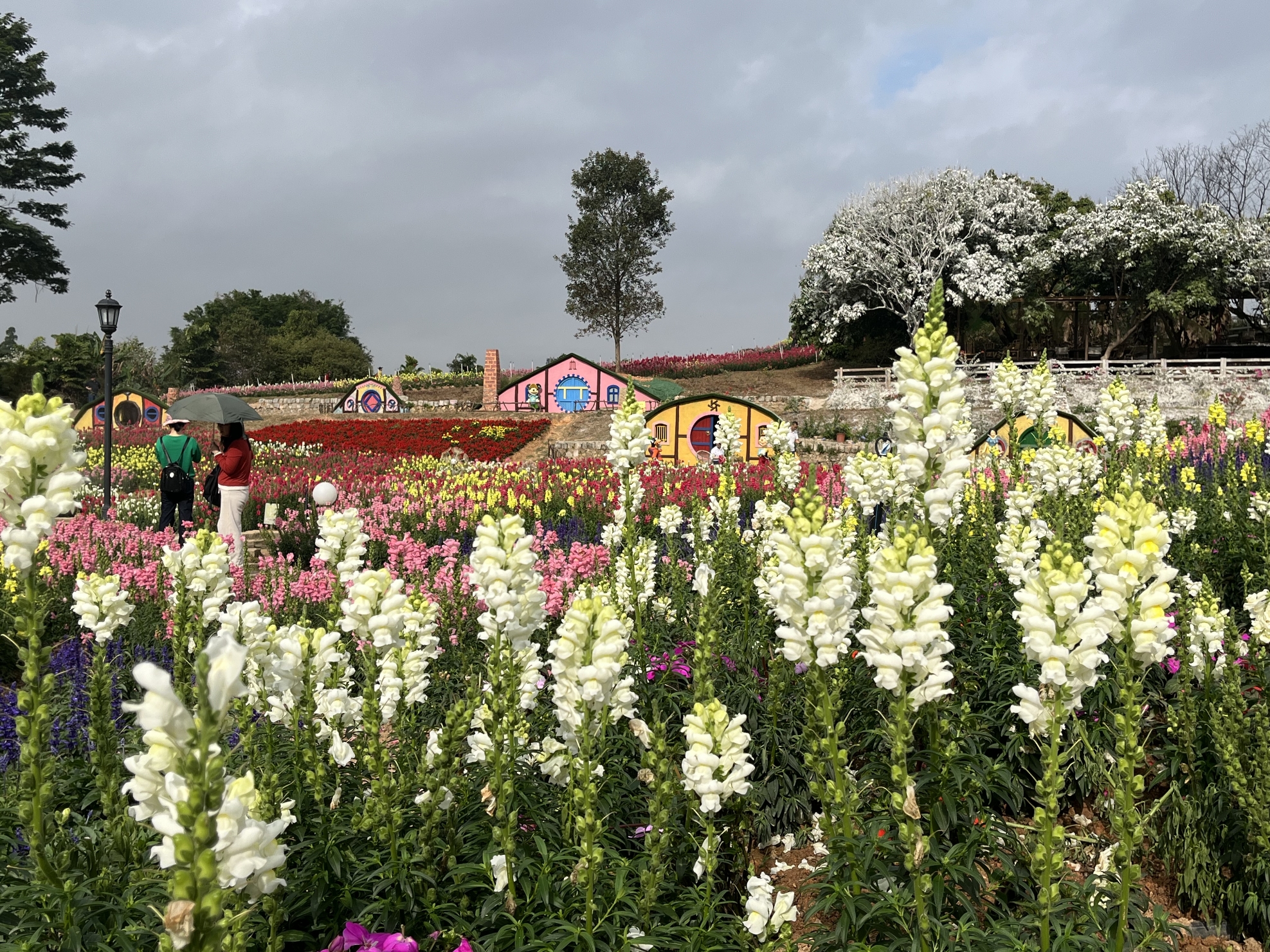Fragrance Meets Hundred Flowers Garden