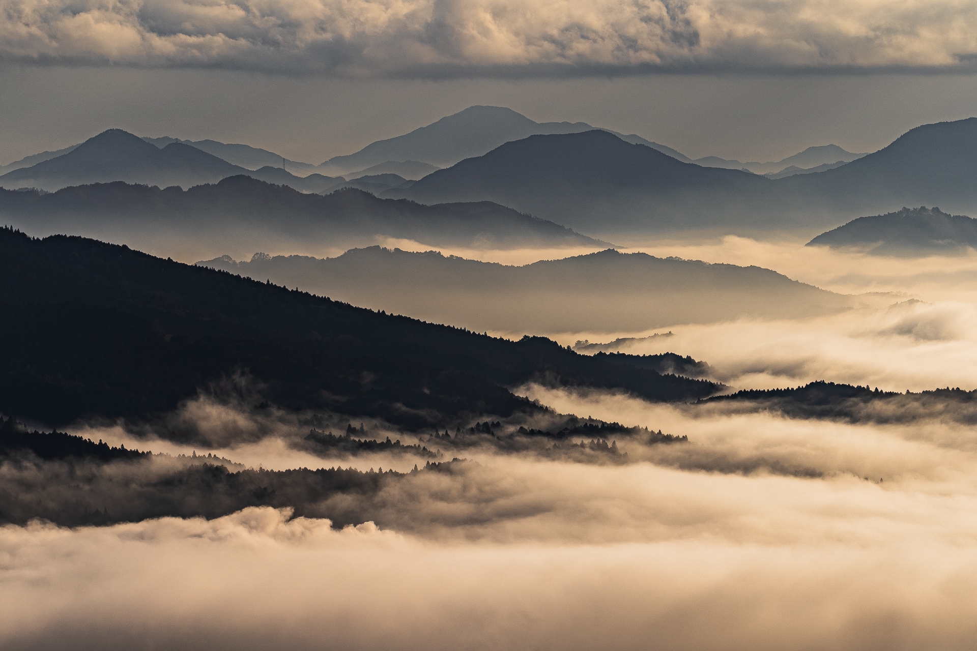 From Nagoya: Soni Highlands Eco-Adventure & Giant Salamanders