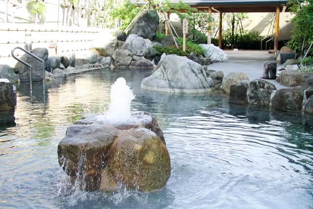 Aichi Natural Hot Spring Korona Onsen Experience in Anjo