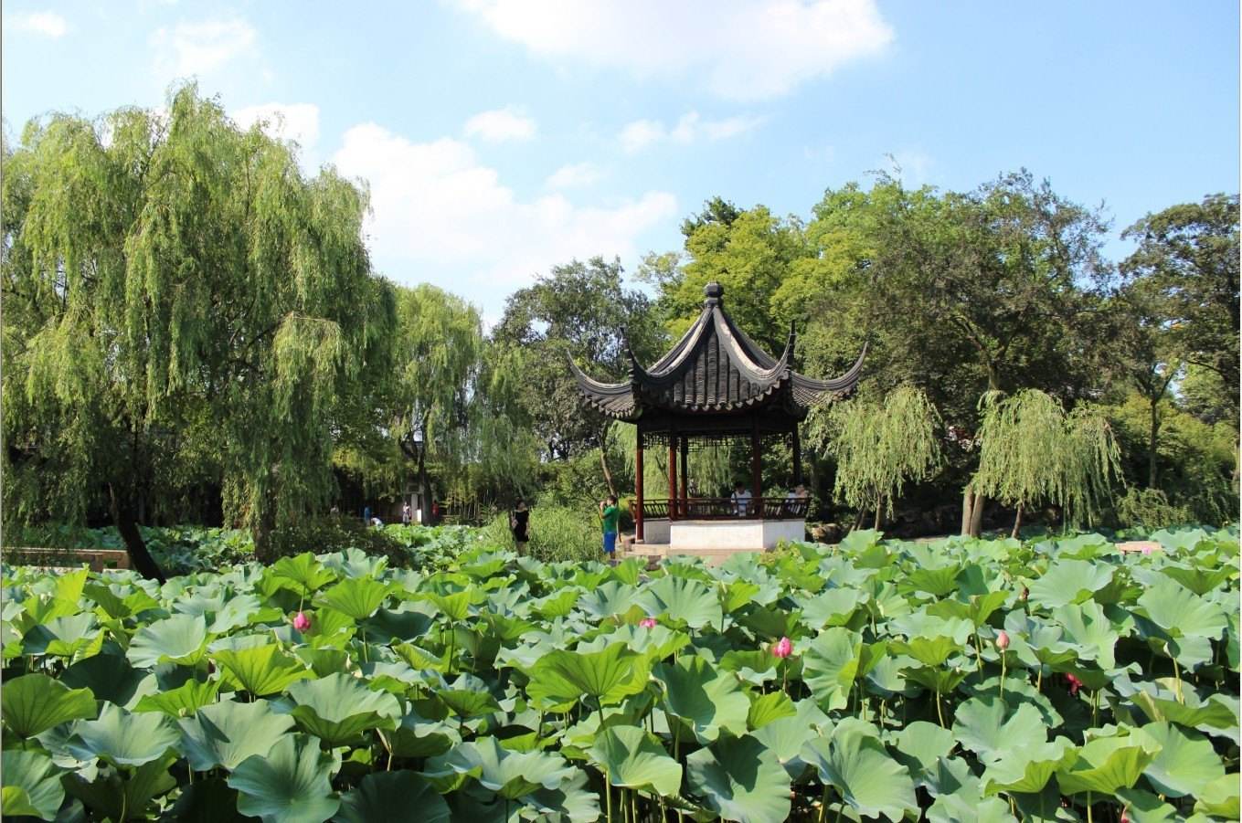 拙政園-被譽為中國四大名園