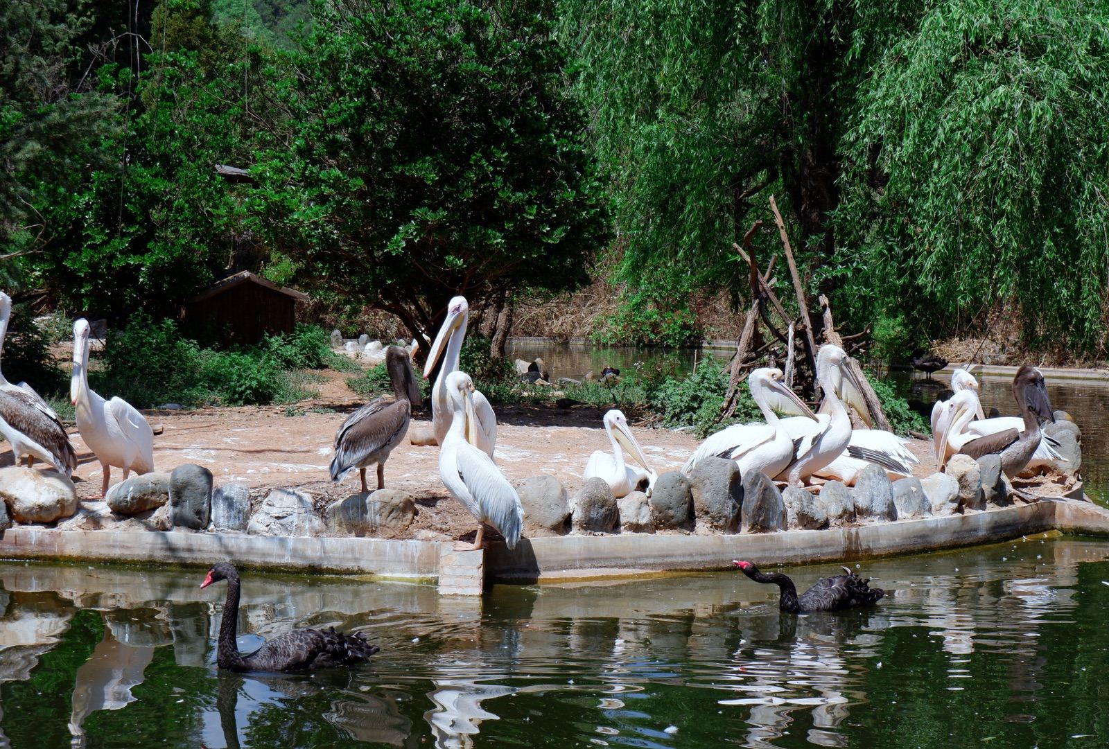 Yunnan Wildlife Park