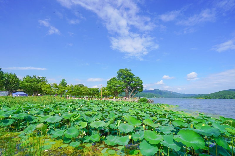 兩水里 (Dumulmeori) - 兩條河流交會的知名景點。