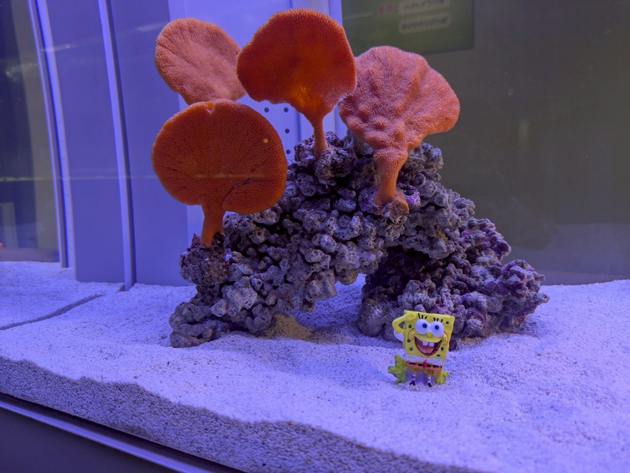 AOAO SAPPORO水族館（北海道）