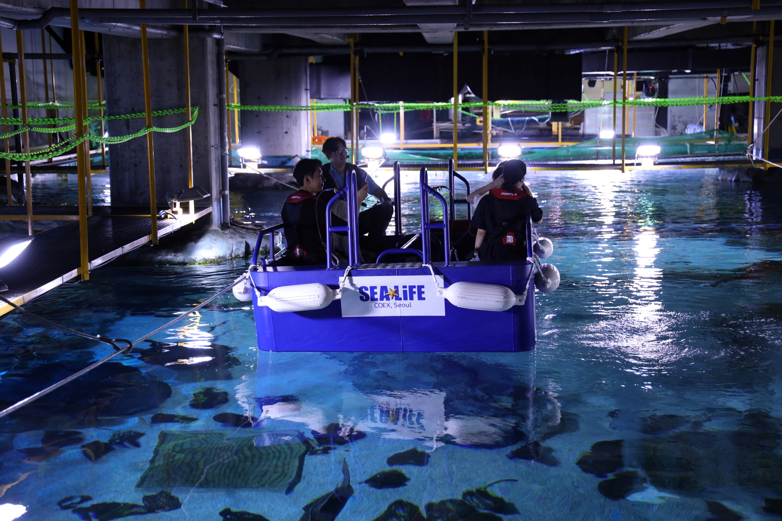 Take a ride on a transparent boat and enjoy a thrilling view of sharks swimming just beneath your feet