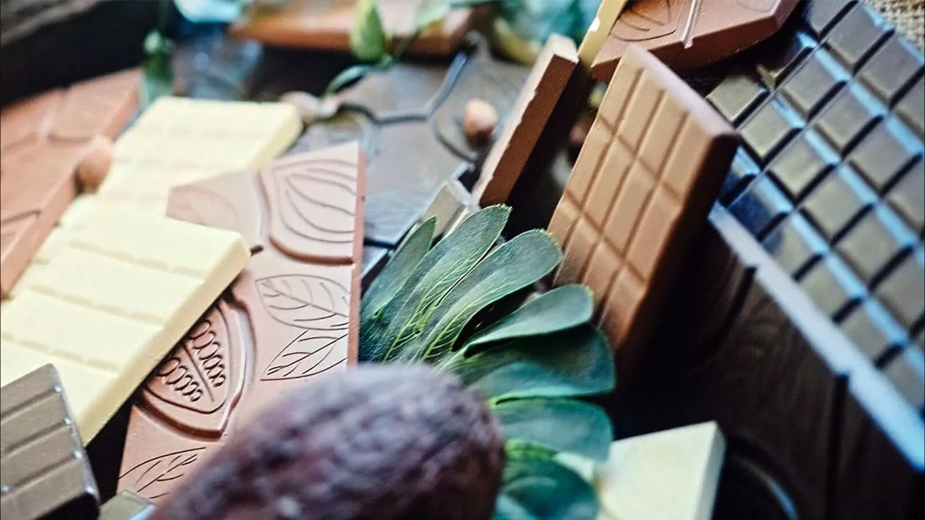 Edinburgh The Chocolatarium Half-Day Small Group Tour