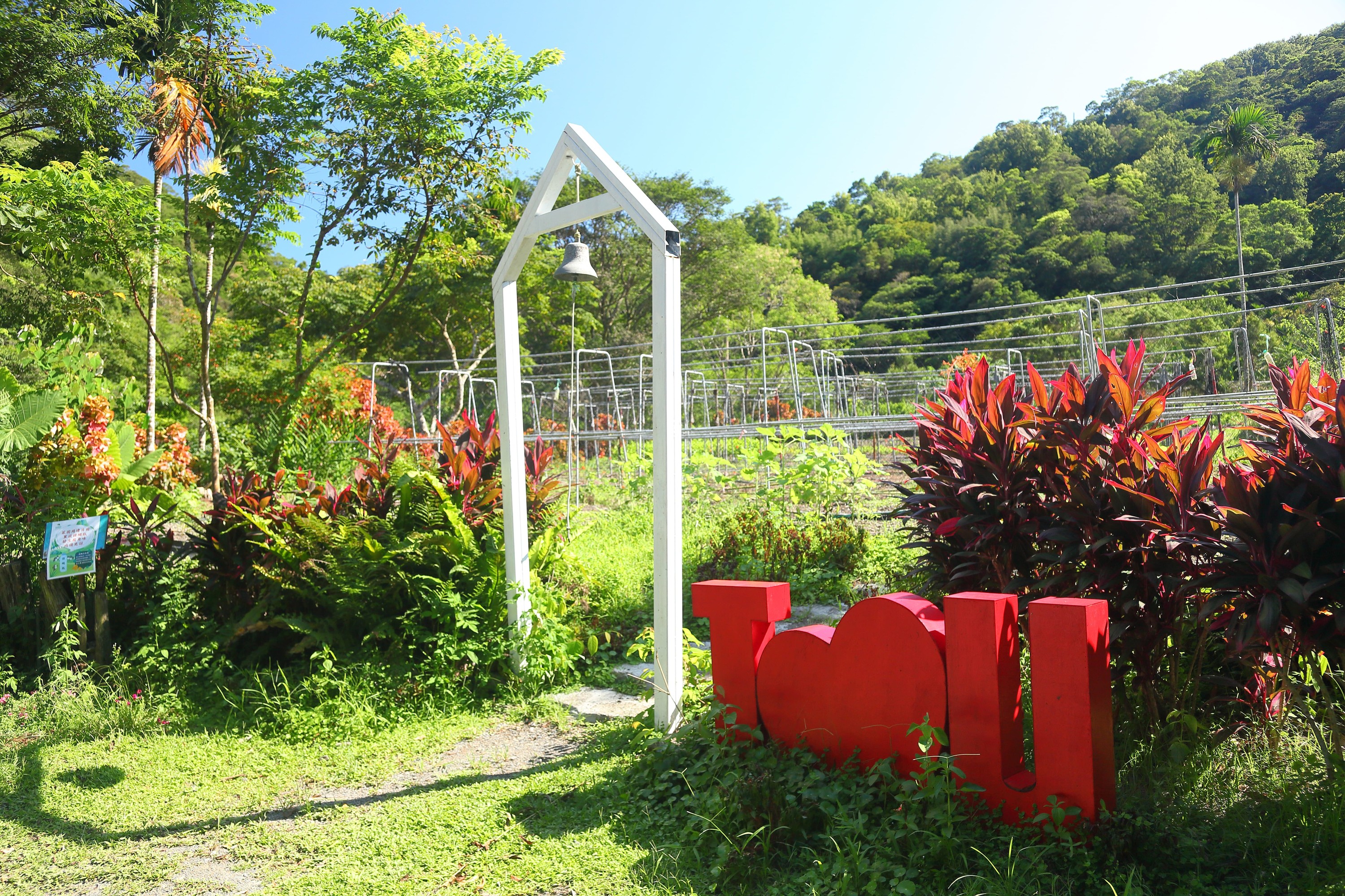 Half-day hike and food experience at Toucheng Farm