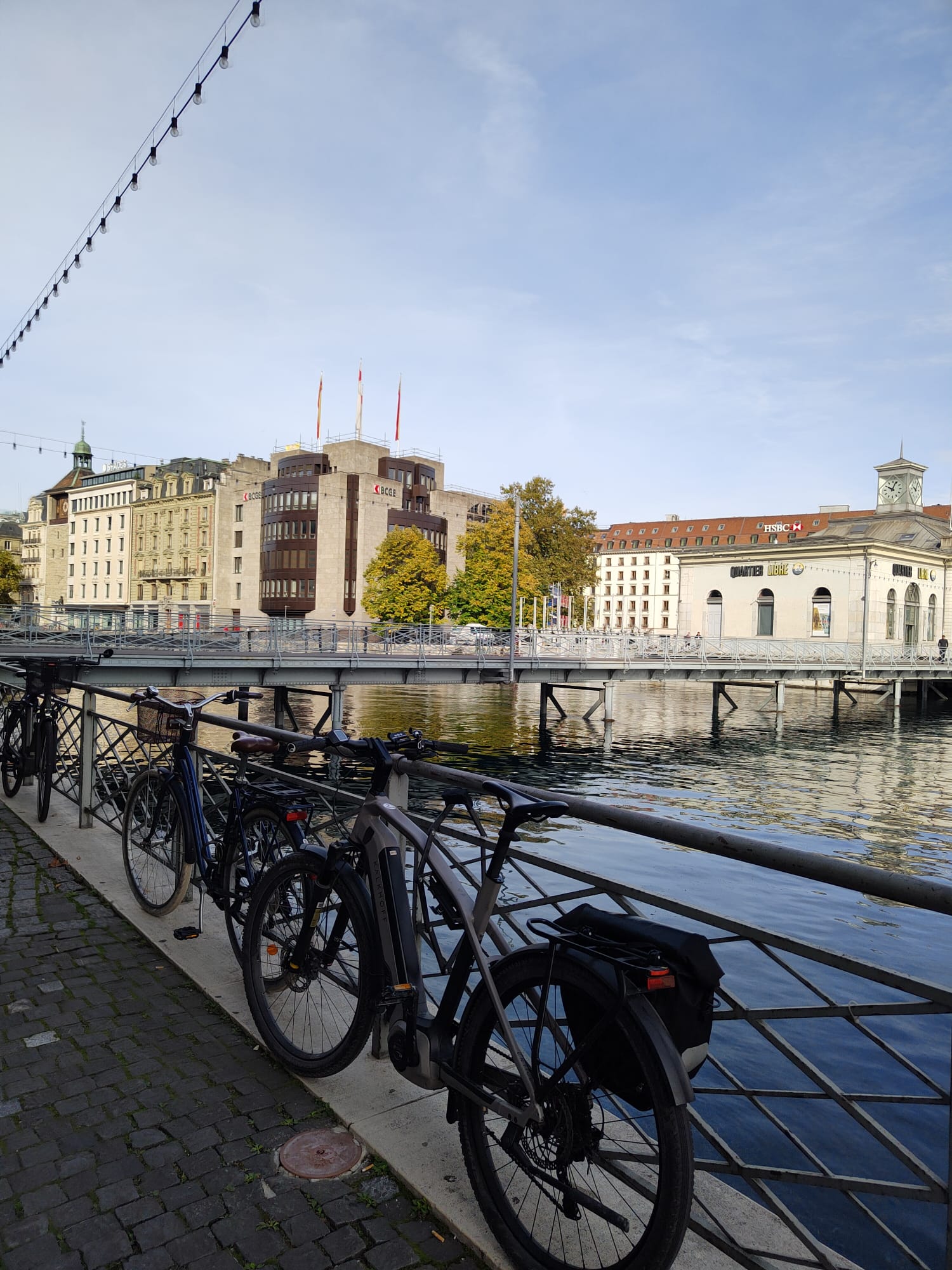 Geneva Walking Food Tour with Full Meal
